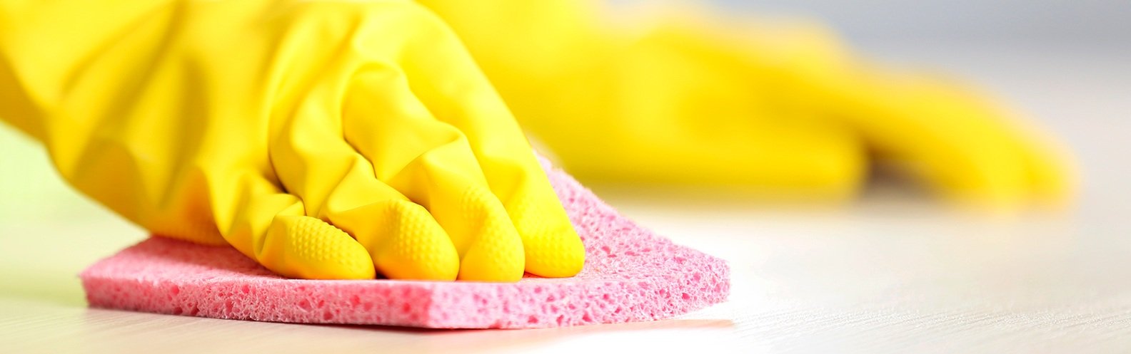5 produtos de limpeza ecológicos para fazer em casa