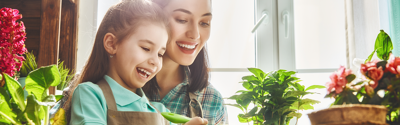 5 plantas para purificar a sua casa, segundo a Nasa