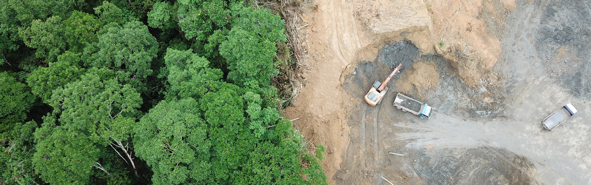 5 números estarrecedores sobre meio ambiente no Brasil