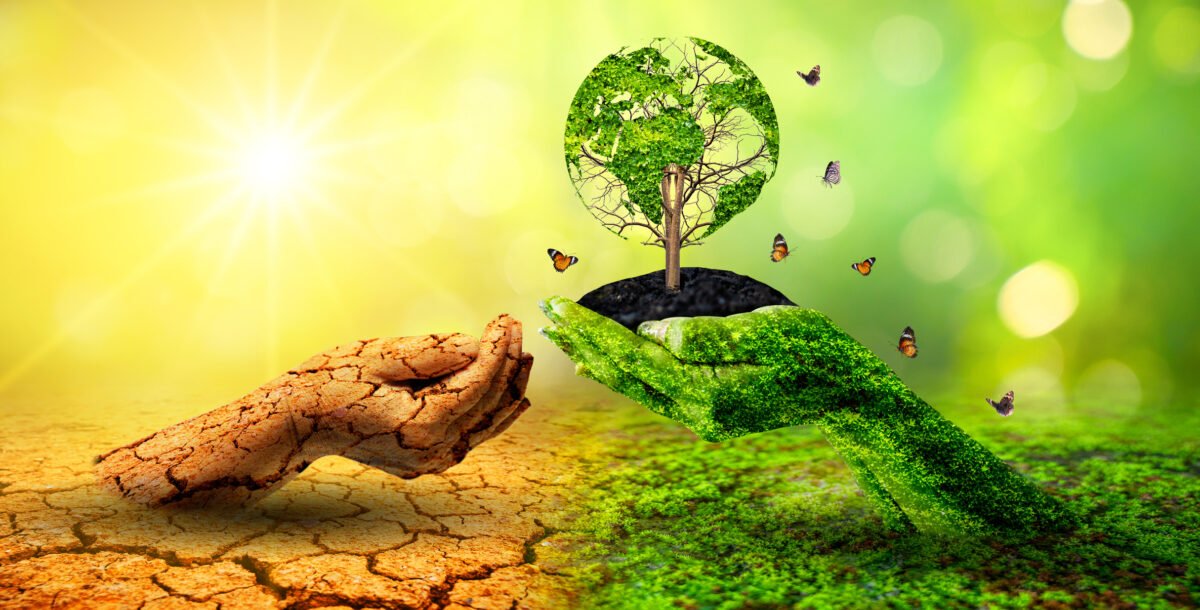 Nós, o Brasil e a biodiversidade