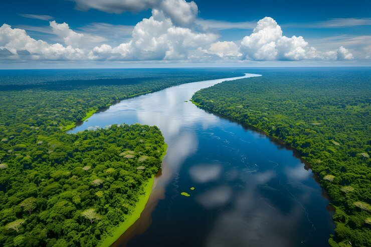 PLANTE ESSA IDEIA: A AMAZÔNIA É DE TODOS NÓS