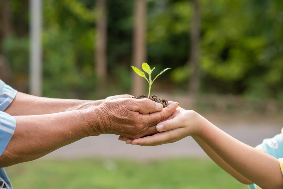 O PAPEL DA EDUCAÇÃO AMBIENTAL EM TEMPOS DE TRANSFORMAÇÃO