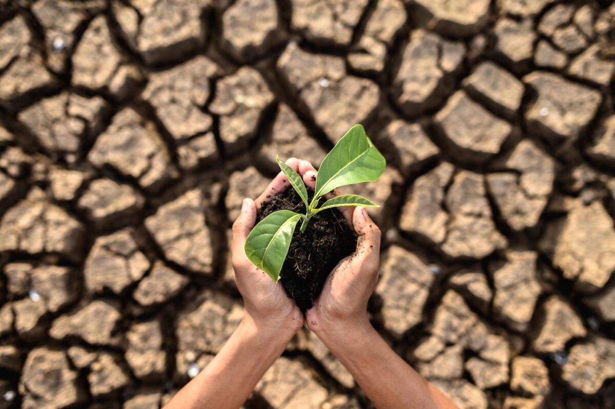 MUDANÇAS CLIMÁTICAS NO BRASIL: O NOSSO FUTURO É AGORA!