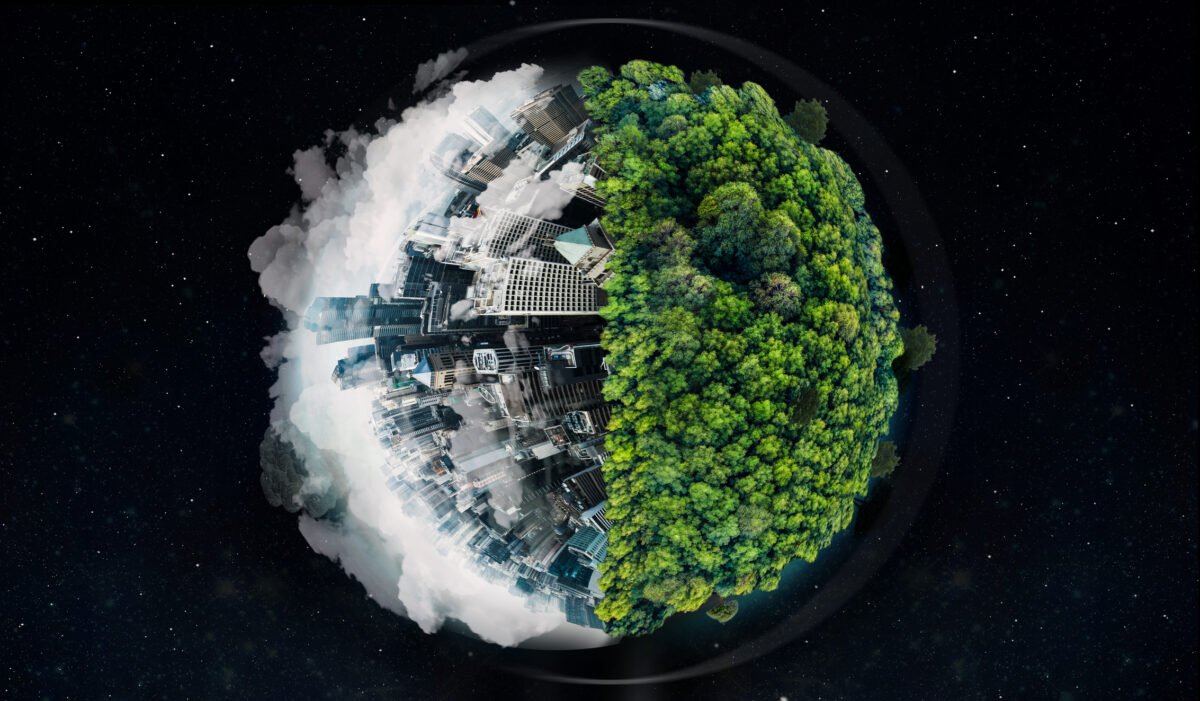 COP 30 no Brasil: debate global sobre sustentabilidade
